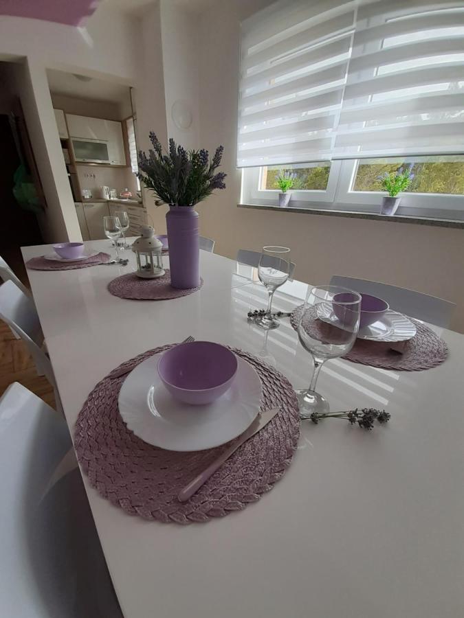 Apartment Dinko ロバニスカ エクステリア 写真